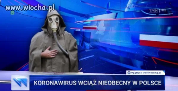 Polska telewizja 