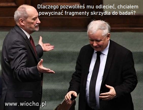 Bez tytułu.