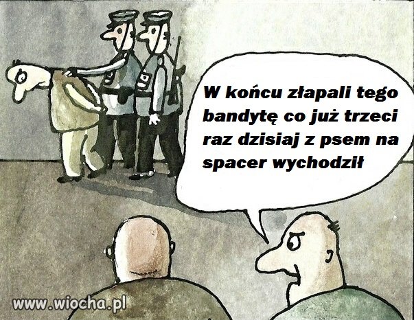 Jakie czasy tacy przestępcy