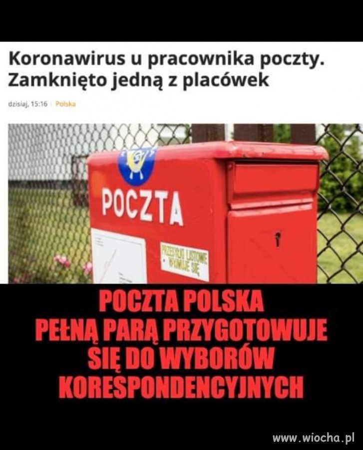 Wybory
