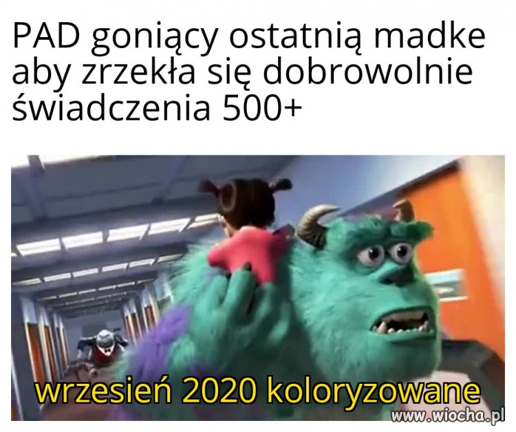 Towarzysz PAD