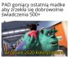 Towarzysz PAD