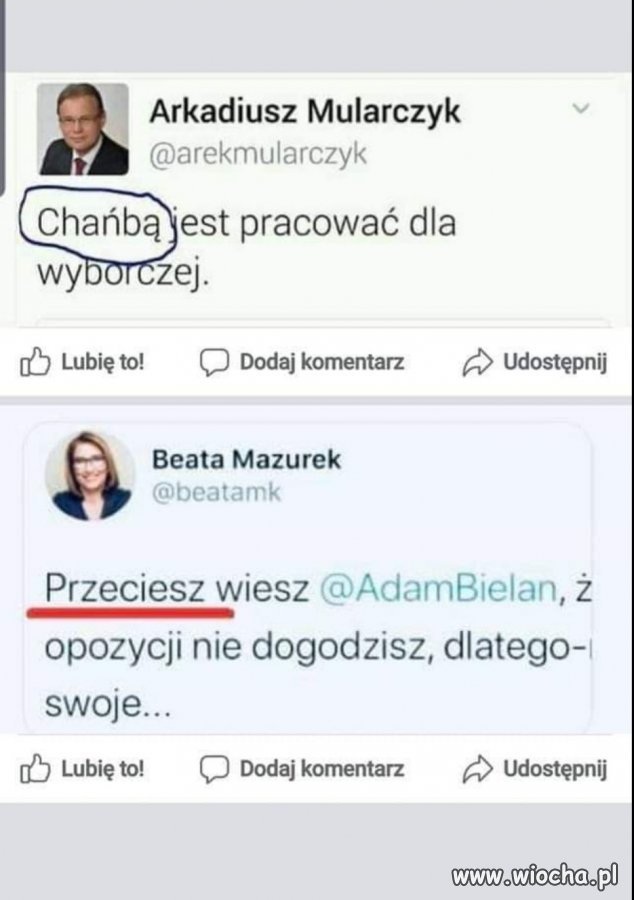 Oto absolwenci 
