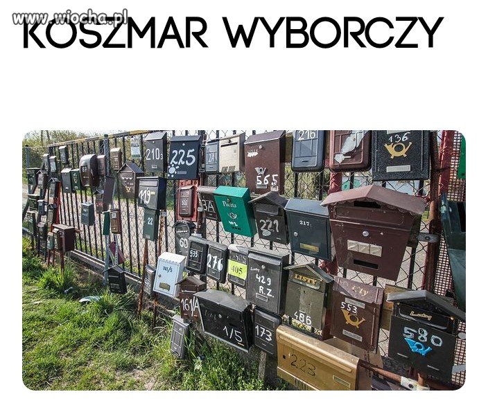 Wybory