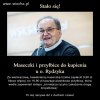 Już wyczuł szmal  .
