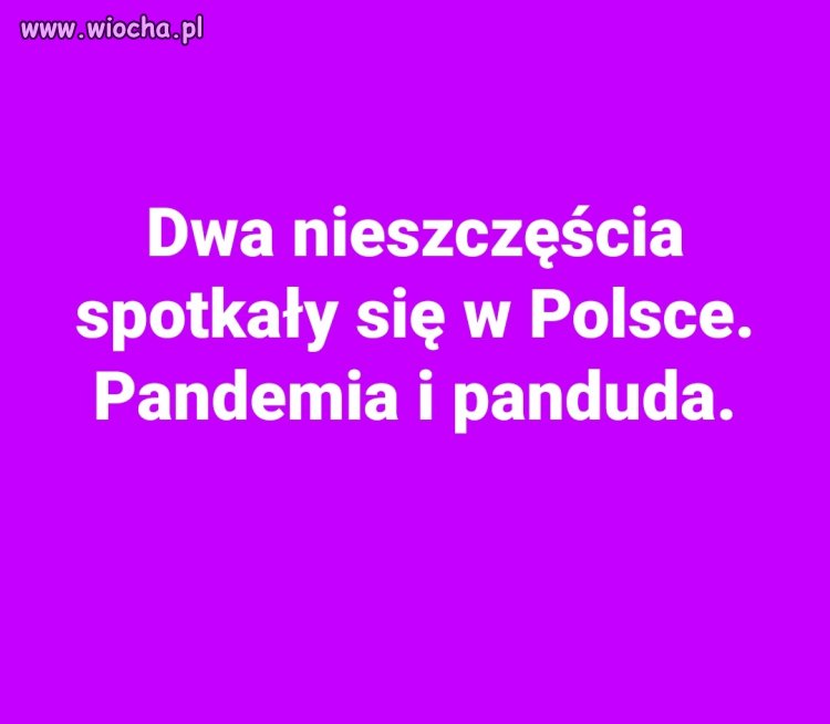 Polskie