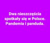 Polskie