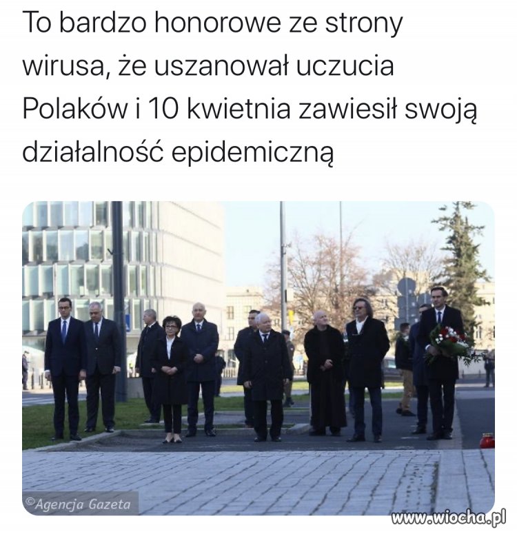 Wszystkie zwierzęta są równe 