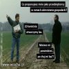Cała prawda o odmrażaniu gospodarki