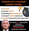 Wyścig do koryta. 