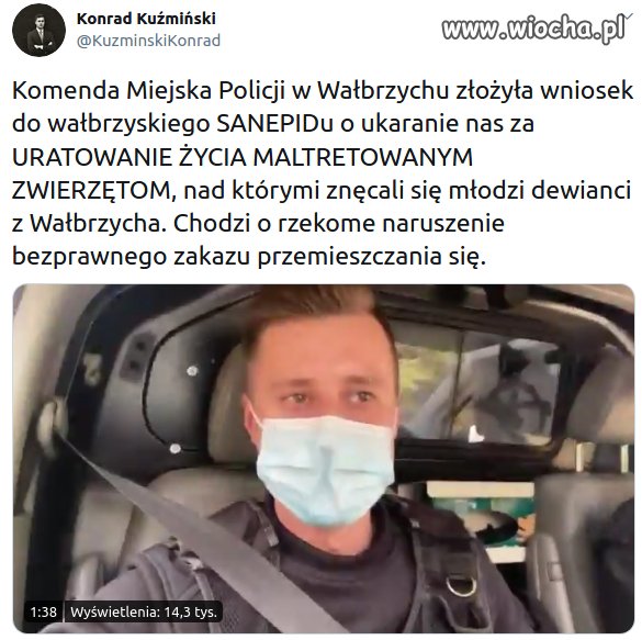 Paranoja