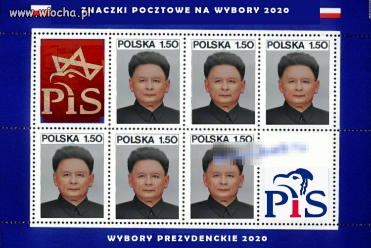 Pluć 