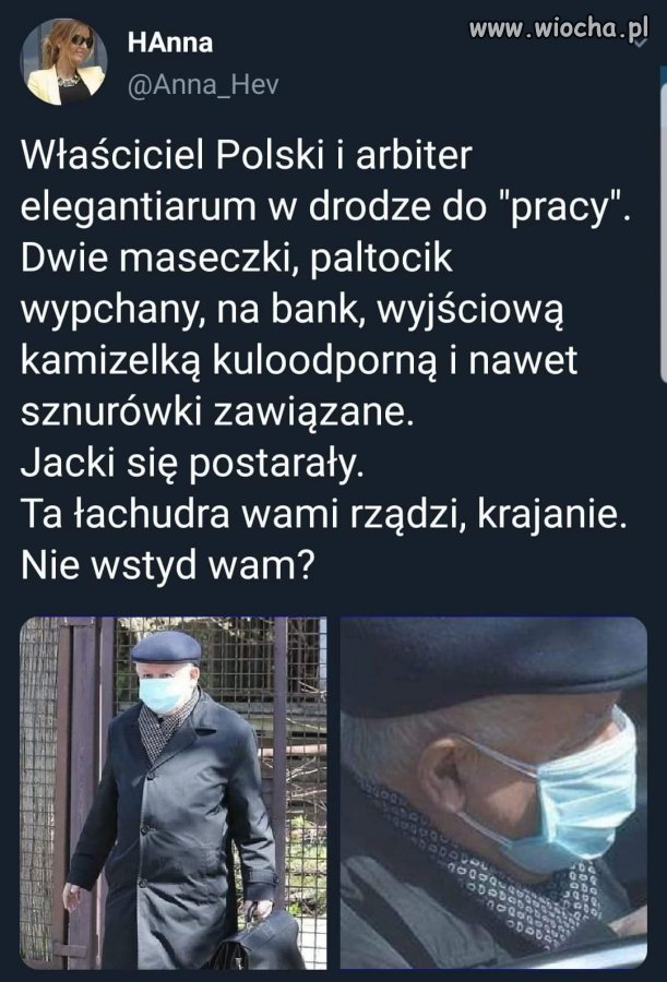 Właściciel 