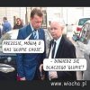 Pańska godność? 