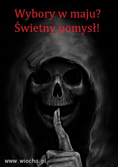 Wybory