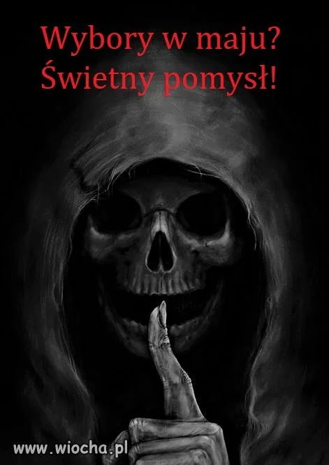 Wybory