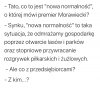 Nowa normalność według rządzących 