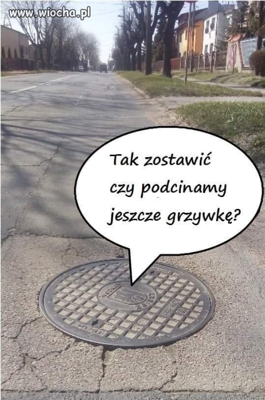 Tymczasem u fryzjera...