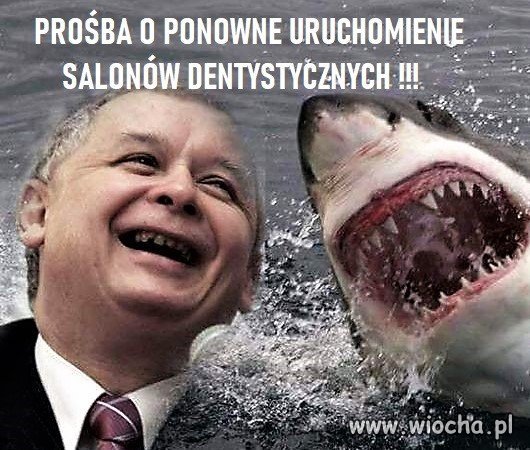 Bez tytułu.