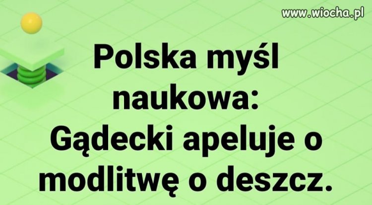 Gowin popiera ...