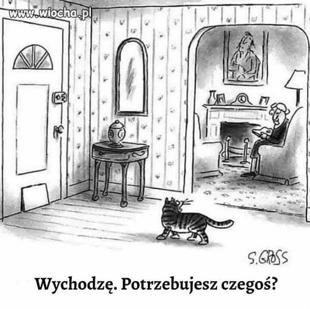 Kiedy twój kot ma więcej wolności od ciebie
