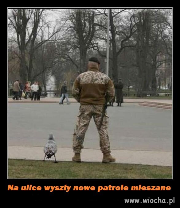 Patrol lądowo powietrzny 
