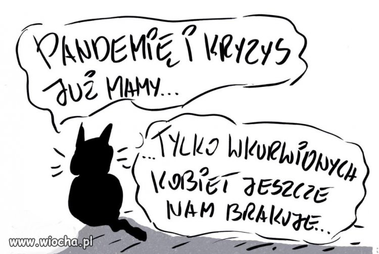 Tytuł zbędny