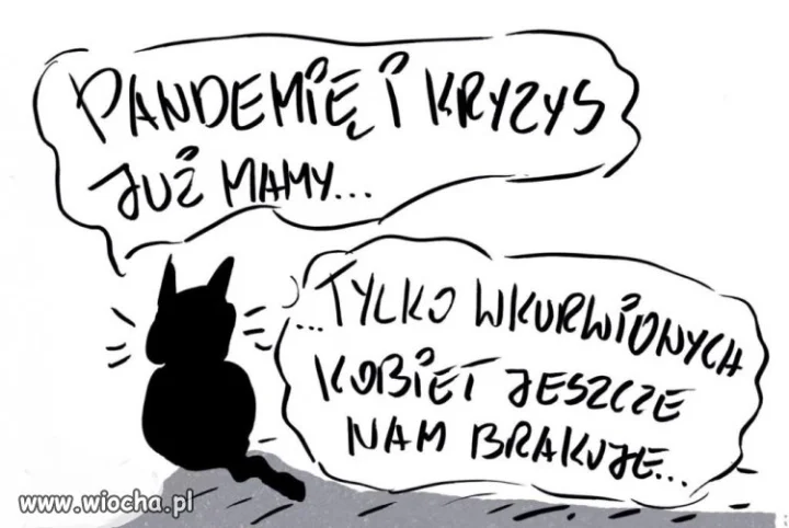 Tytuł zbędny