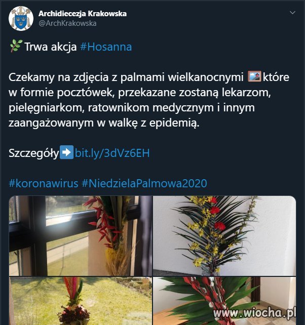 Widzę te łzy szczęścia