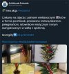 Widzę te łzy szczęścia