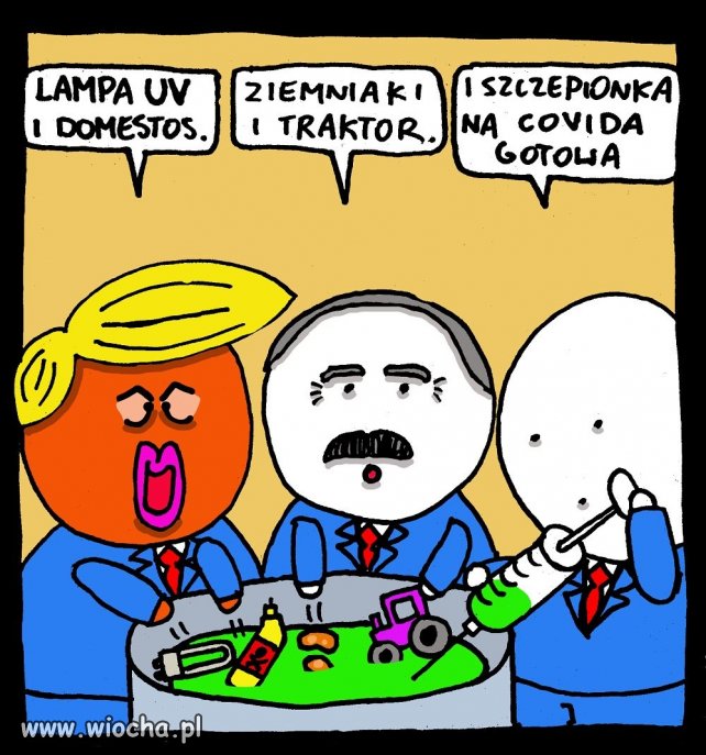 Pomysły przywódców