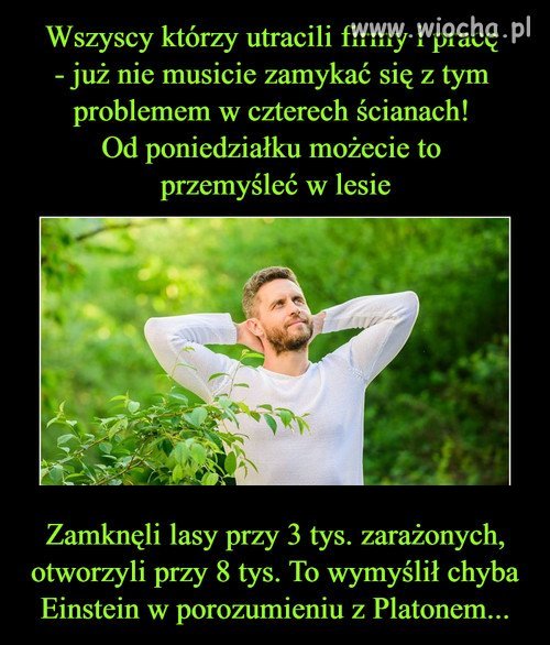 Od poniedziałku można wejść do lasu
