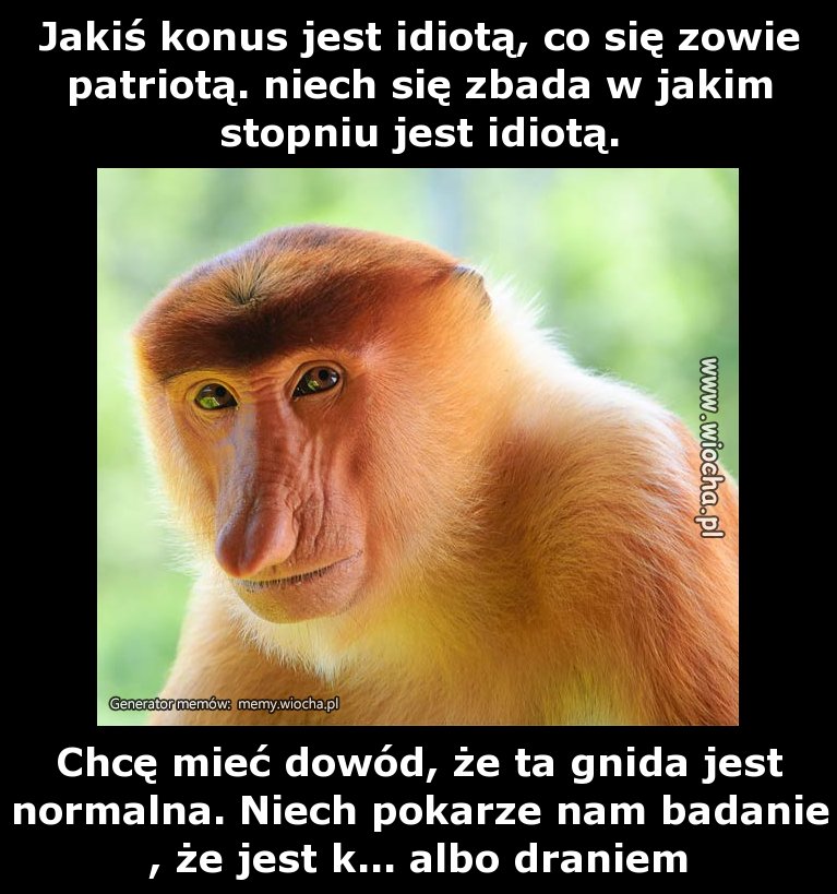 Jakiś konus jest idiotą, co się zowie patriotą.