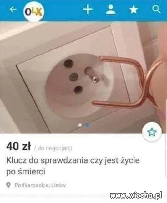 Tylko kupować 