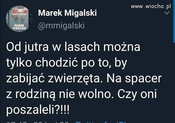 Tymczasem 