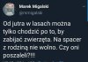 Tymczasem 
