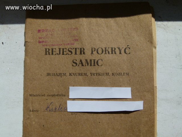 Znalezisko na strychu