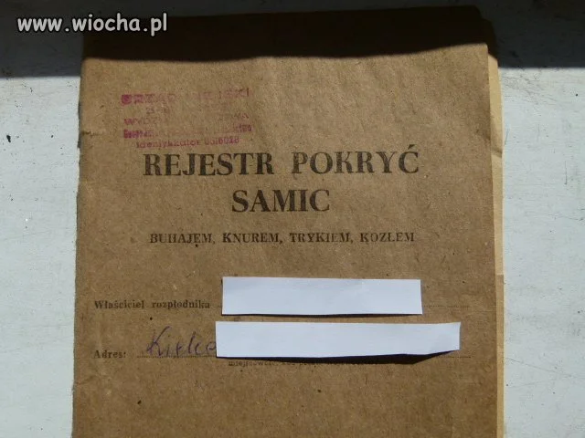 Znalezisko na strychu