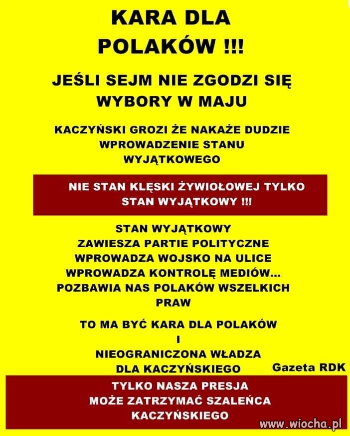 Dobrze mu się we łbie pokręciło...