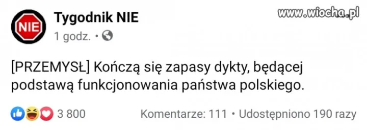 Kończą się zapasy dykty.