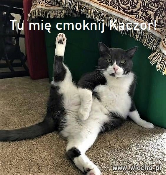 Bez tytułu.