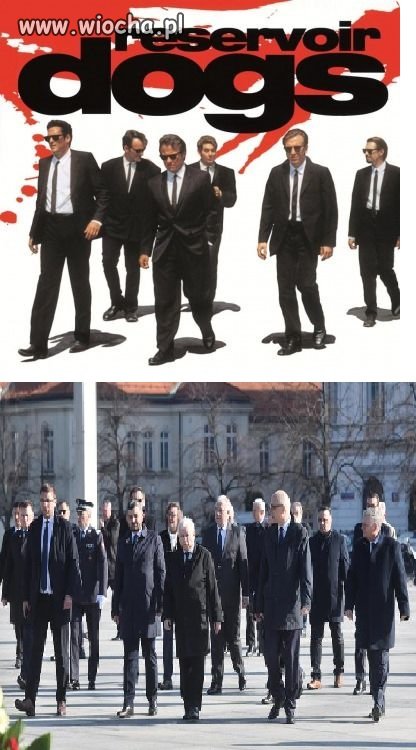 Wściekłe PiSy