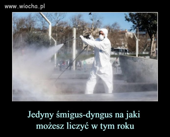Niestety