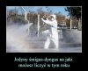 Niestety