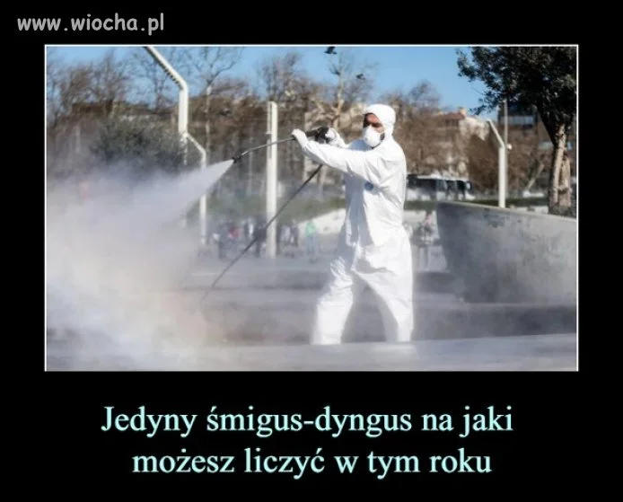 Niestety