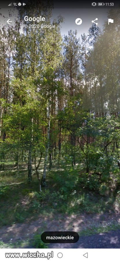 Funkcja Street View