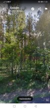 Funkcja Street View