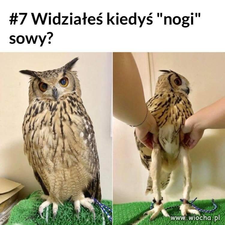 Jak nie to patrz...