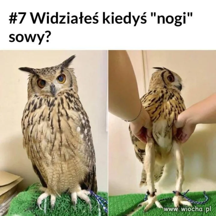 Jak nie to patrz...