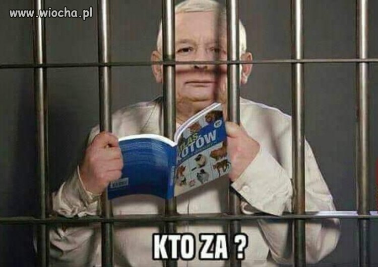 Kto za?